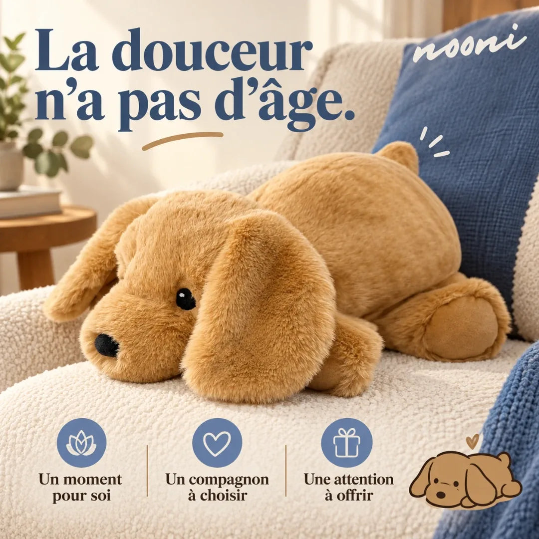 Peluche Nooni chien sur un fauteuil : la douceur n’a pas d’âge