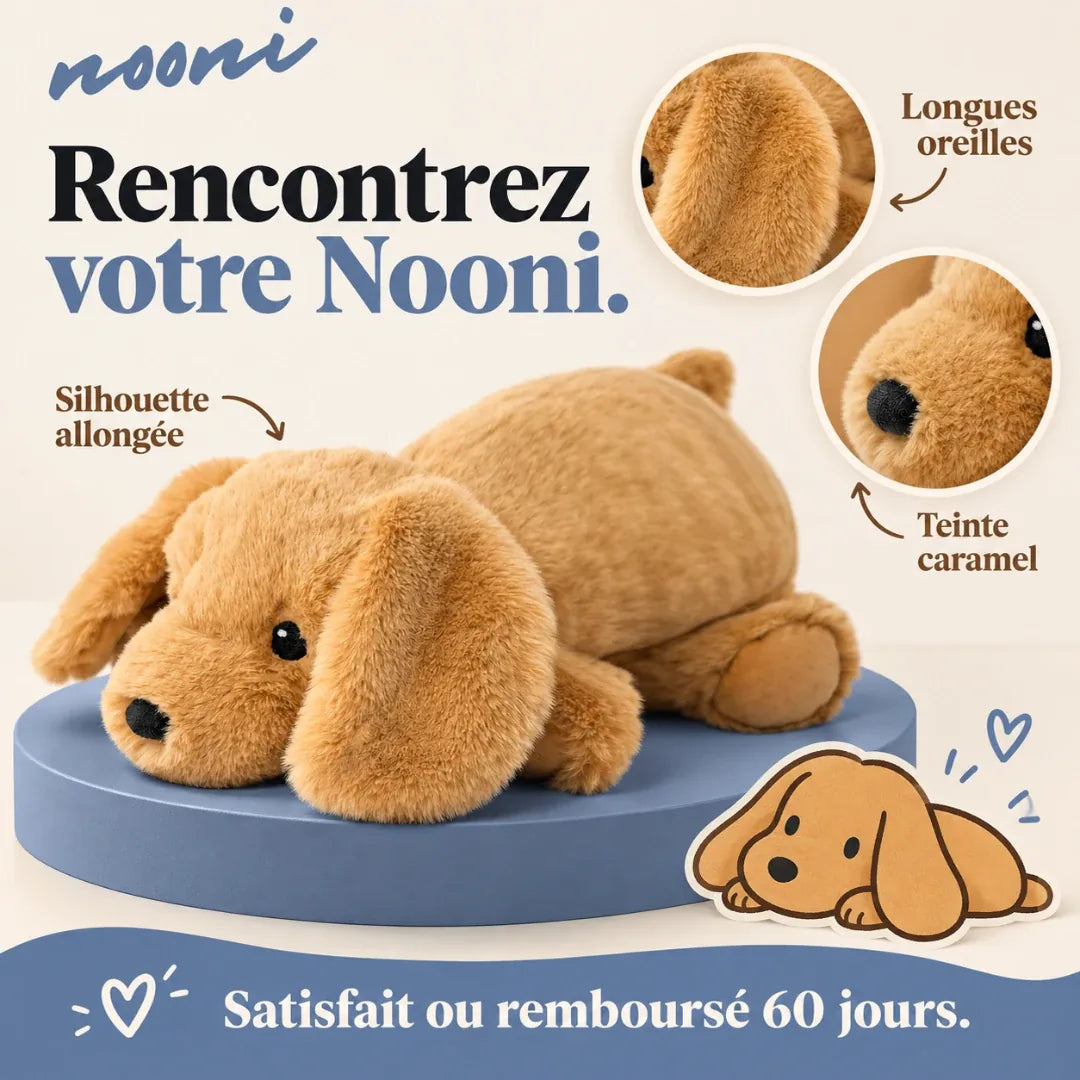 Gros plan sur les longues oreilles et la teinte caramel de Nooni