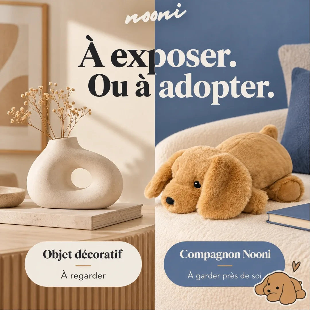 Un objet décoratif à regarder, ou un compagnon Nooni à garder près de soi