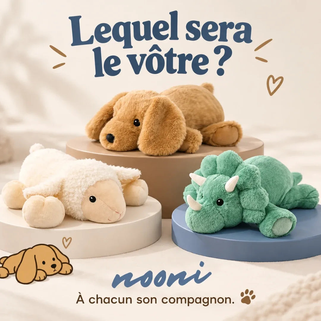 Les trois peluches Nooni : chien, mouton et dinosaure